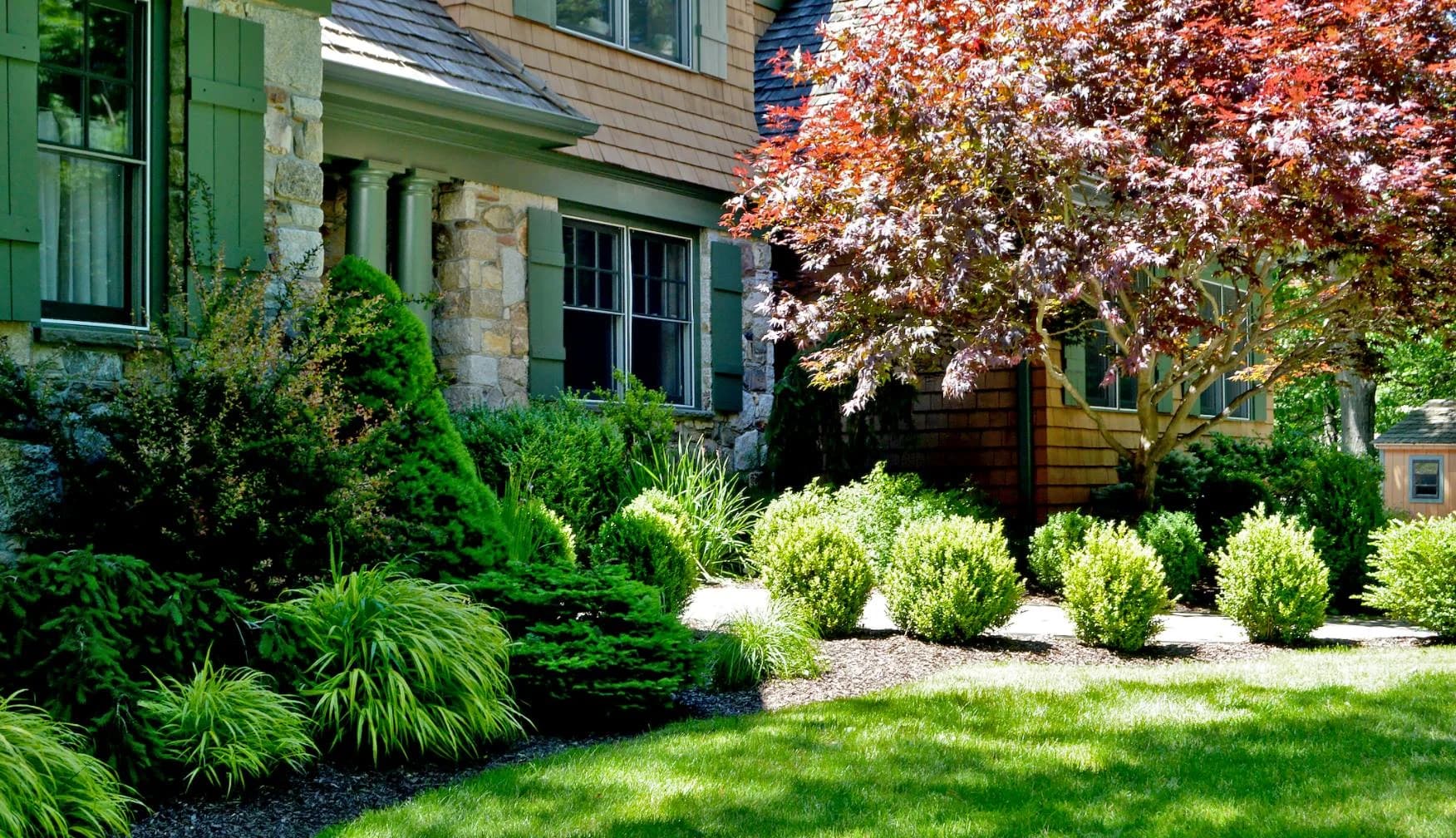Planting in Roseville